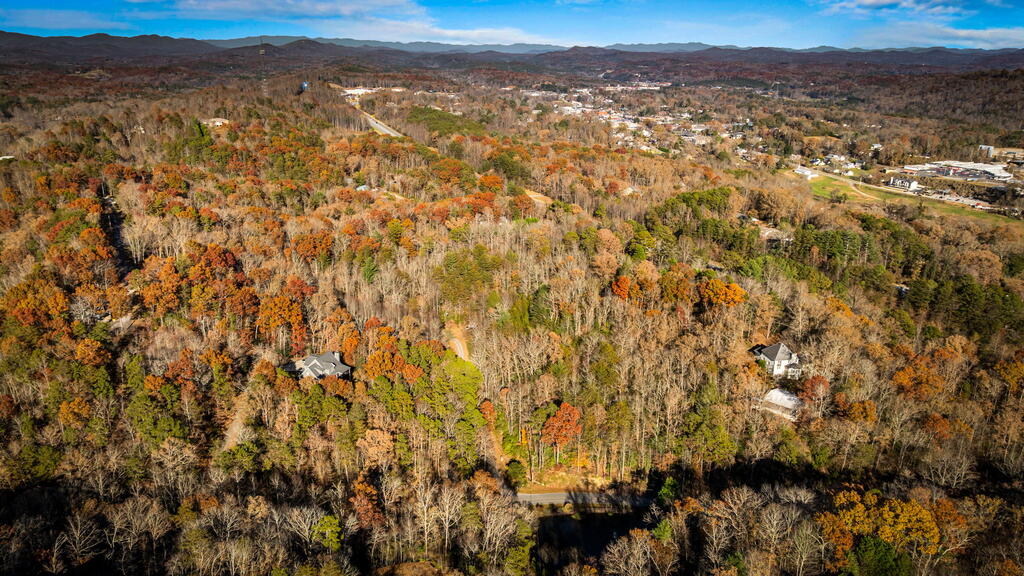1.5 Bullen Gap Road Blue Ridge, GA 30513 - Photo 46 of 63 Gallery Image 46