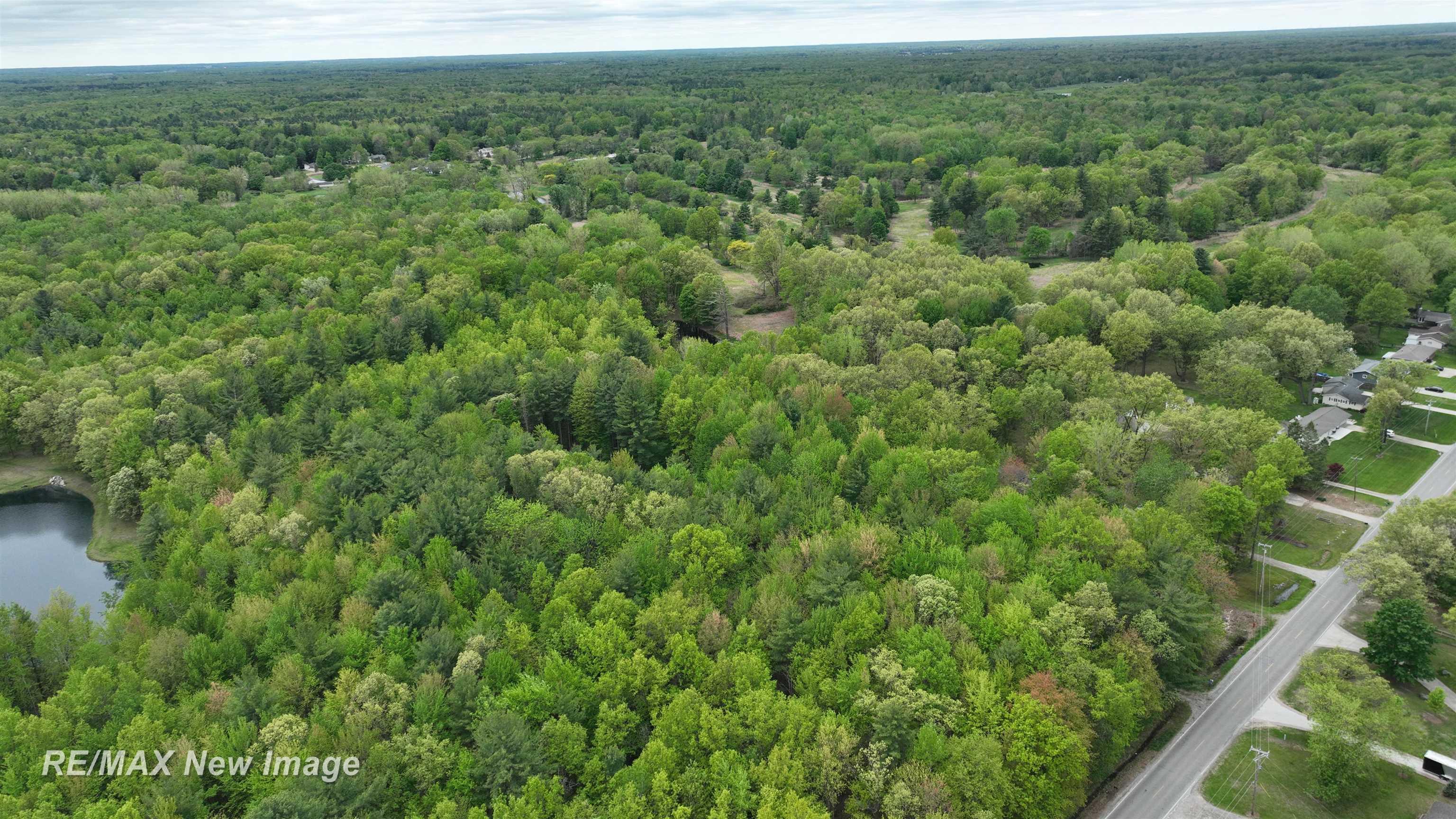 12000 West Townline Road St. Charles, MI 48655 - Photo 3 of 10