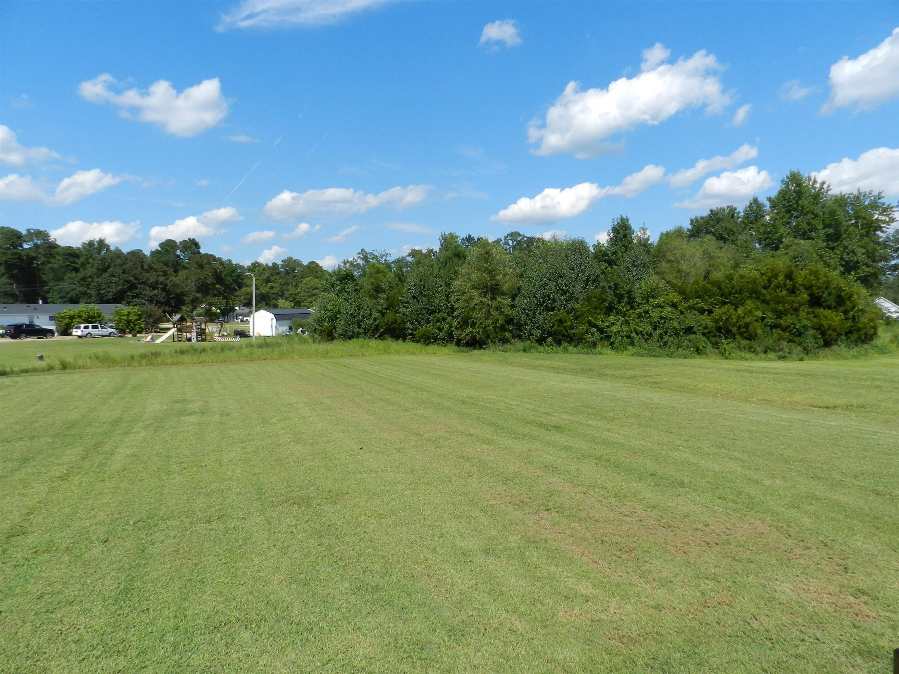 91 Touchdown Way Benson, NC 27504 - Photo 12 of 14 Photo 12
