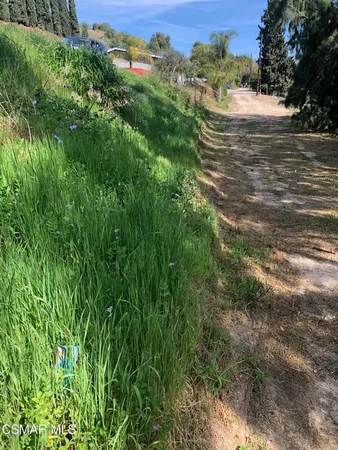 a view of outdoor space and trees