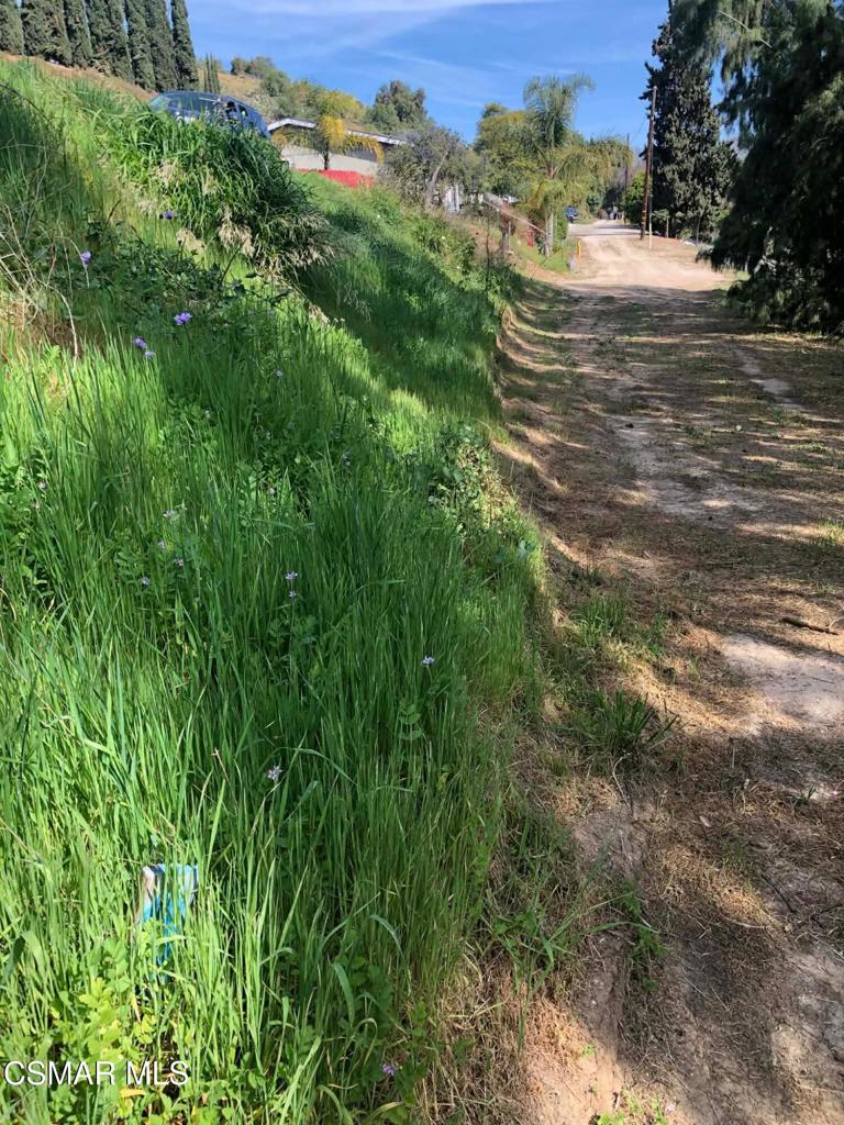 1071 Walnut Canyon Road Moorpark, CA 93021 - Photo 15 of 16 a view of outdoor space and trees