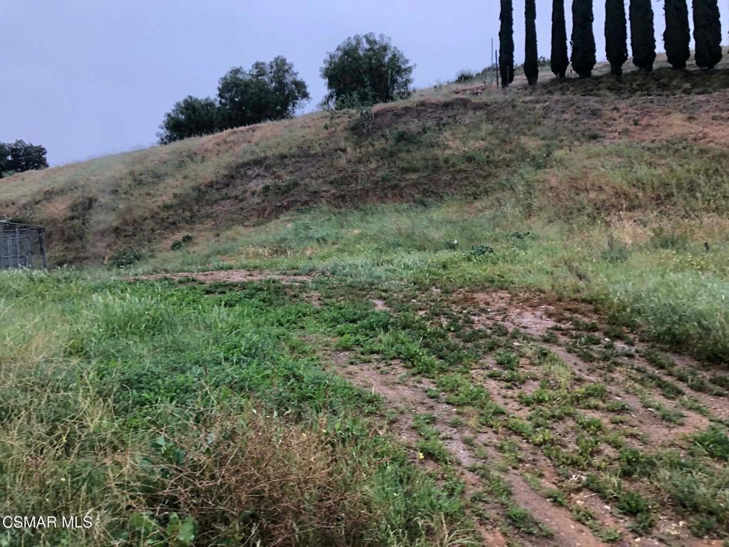 1071 Walnut Canyon Road Moorpark, CA 93021 - Photo 6 of 16 a view of a backyard