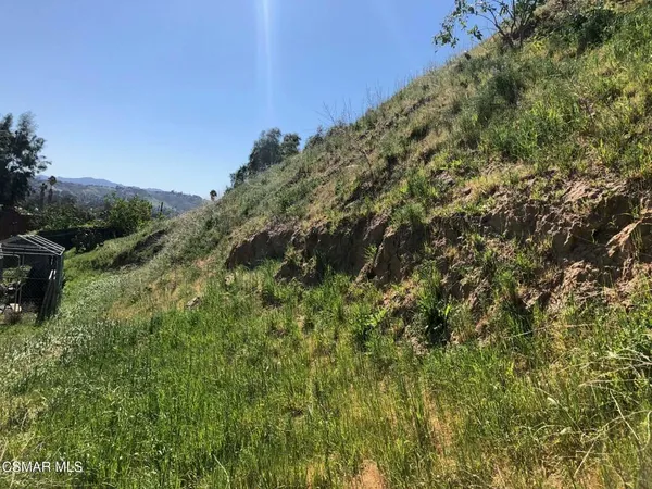 a view of a large yard with lots of green space