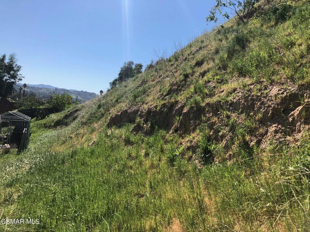 1071 Walnut Canyon Road Moorpark, CA 93021 - Photo 9 of 16 a view of a large yard with lots of green space