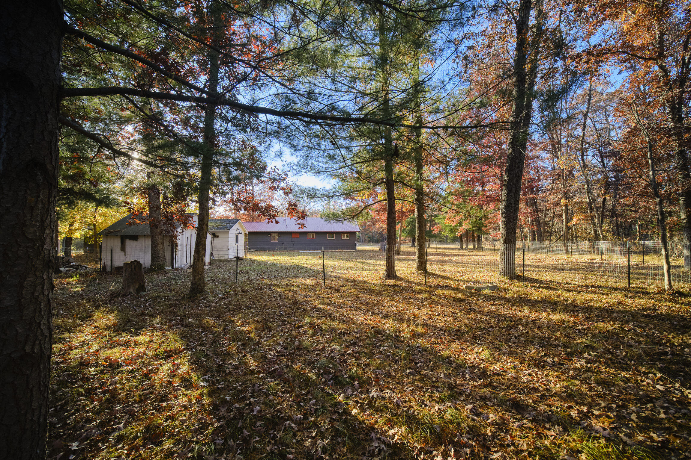11204 North Brooks Road Irons, MI 49644 - Photo 17 of 38 11204_N_Brooks_Rd-20