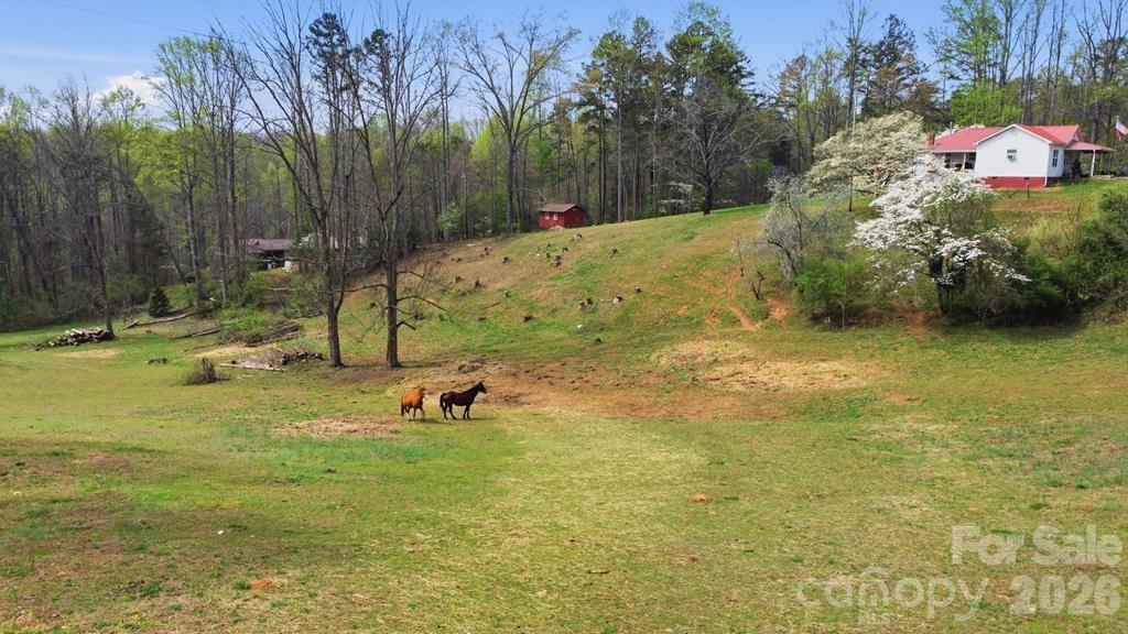 337 Town Mountain Road Hayesville, NC 28904 - Photo 1 of 44