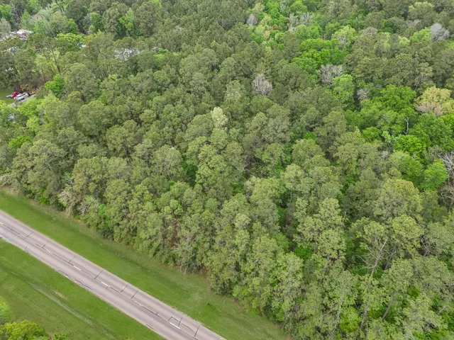 a view of a yard with a wooden fence