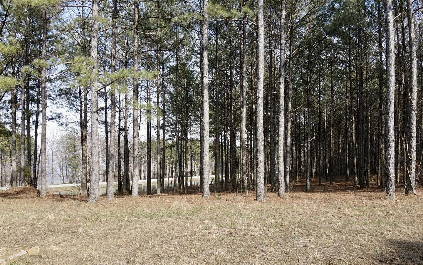 179 High Point Lane Jasper, TN 37347 - Photo 47 of 91 2024-03-21-15-54-22-213