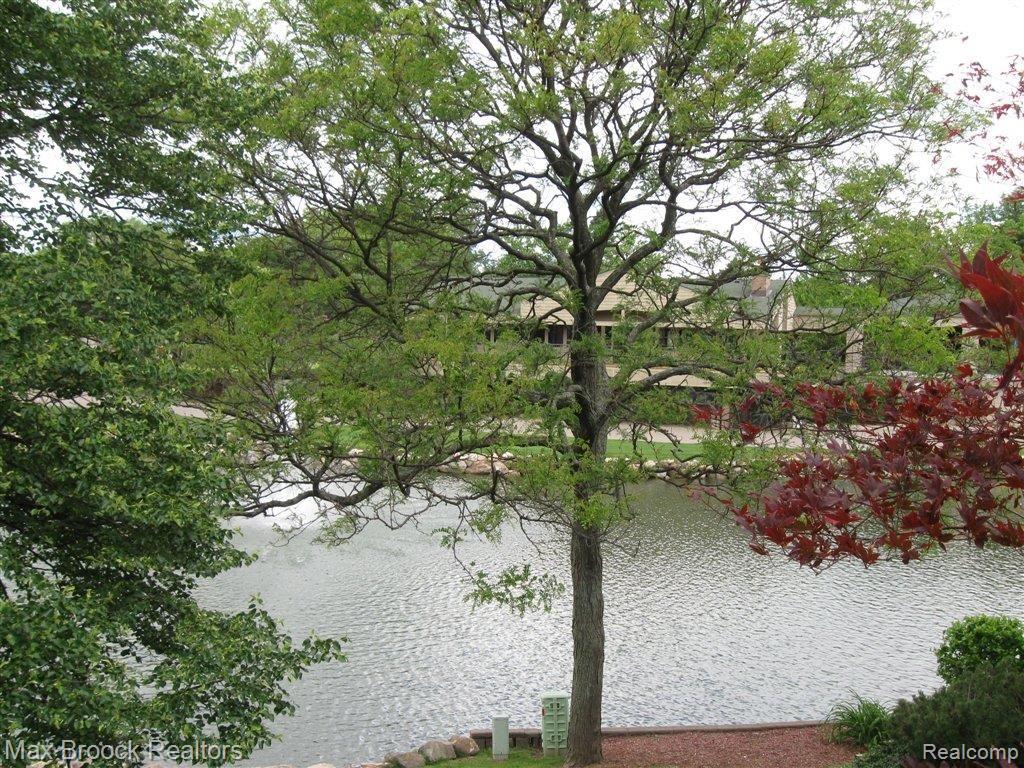 962 Brookwood Lane East, Unit 4 Rochester, MI 48309 - Photo 13 of 15 POND AREA.JPG