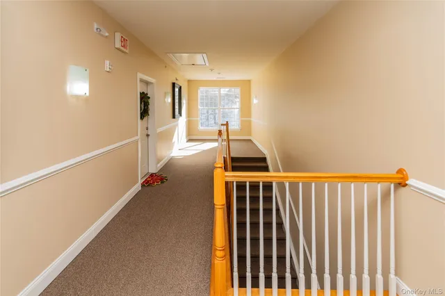 a dining room with furniture a rug a potted plant and a chandelier