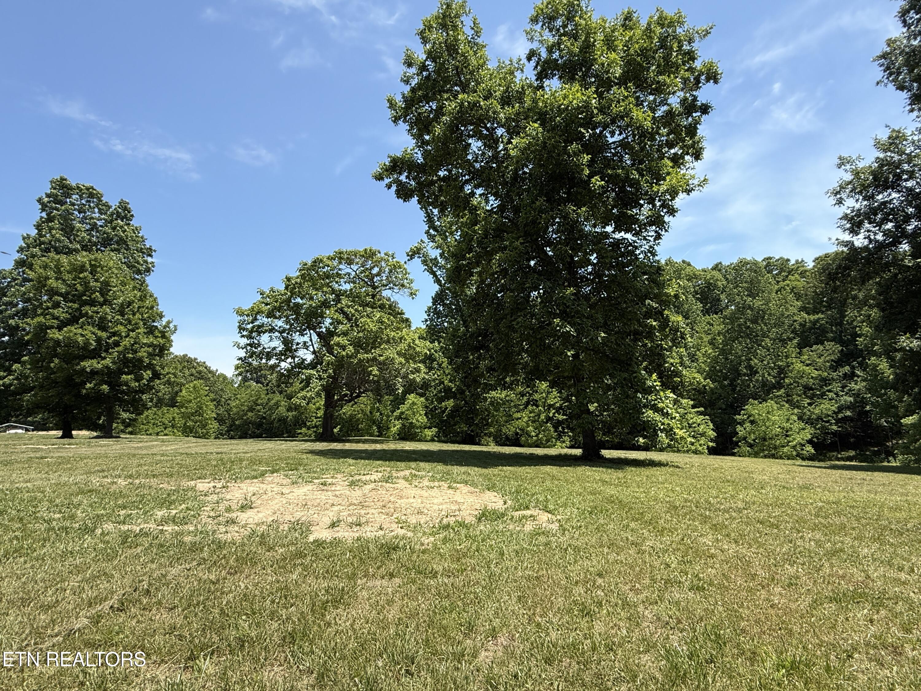 Richland Road Blaine, TN 37709 - Photo 14 of 25 IMG_5458