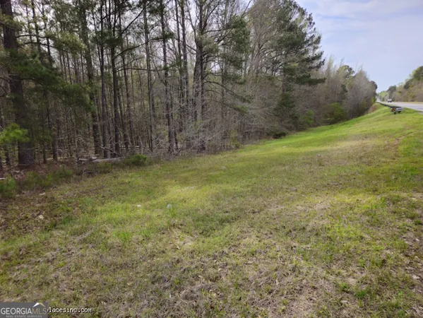 $110,000 | Tract 2 Us Highway 341 North, Musella, GA 31066