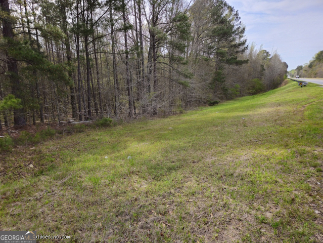 Tract 2 Us Highway 341 North Musella, GA 31066 - Photo 1 of 1