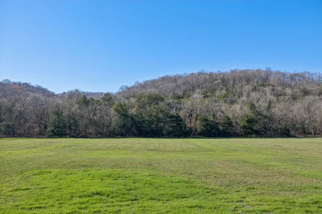a view of a grassy field with mountains in the background