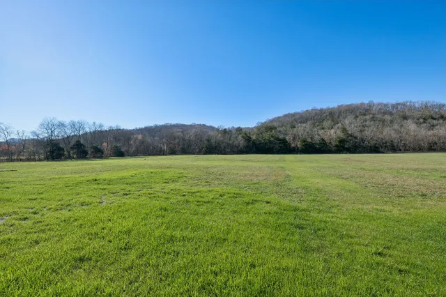 a view of a field with an ocean view