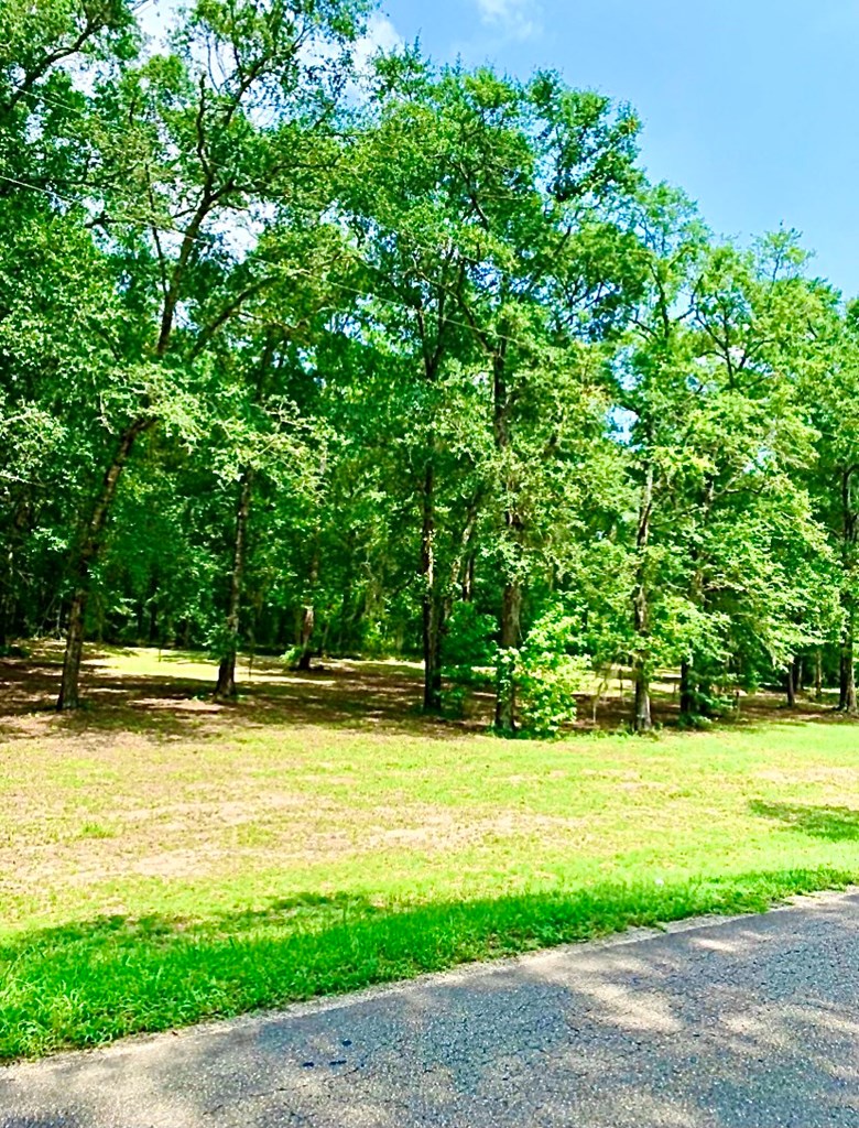 0 County Road 53 Abbeville, AL 36310 - Photo 8 of 10