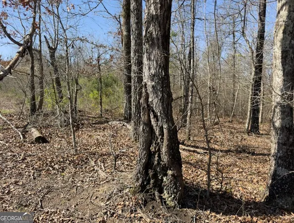 $45,000 | 0 Spruce Drive, Hamilton, AL 35570