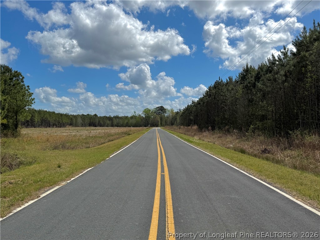 3331 Bogie Island Road Fayetteville, NC 28312 - Photo 8 of 10