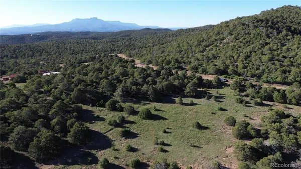 a view of a forest with mountains in the background