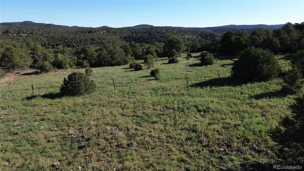 a view of a lush green field