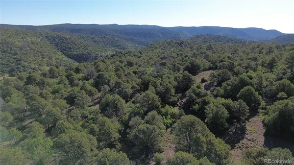 a view of a lush green forest with mountains in the background