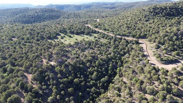 a view of a dry yard