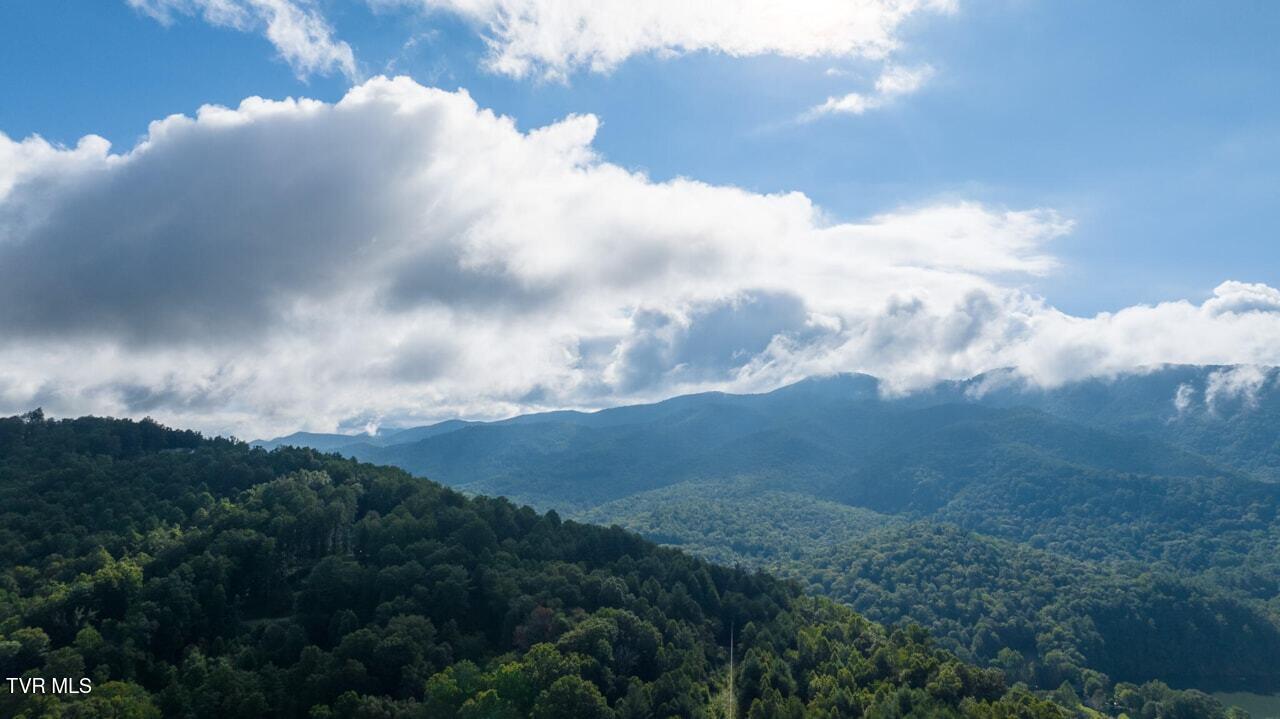 Lot 2 High Country Pvt Road, Unit 2 Butler, TN 37640 - Photo 28 of 32 Land picture 10 (1)