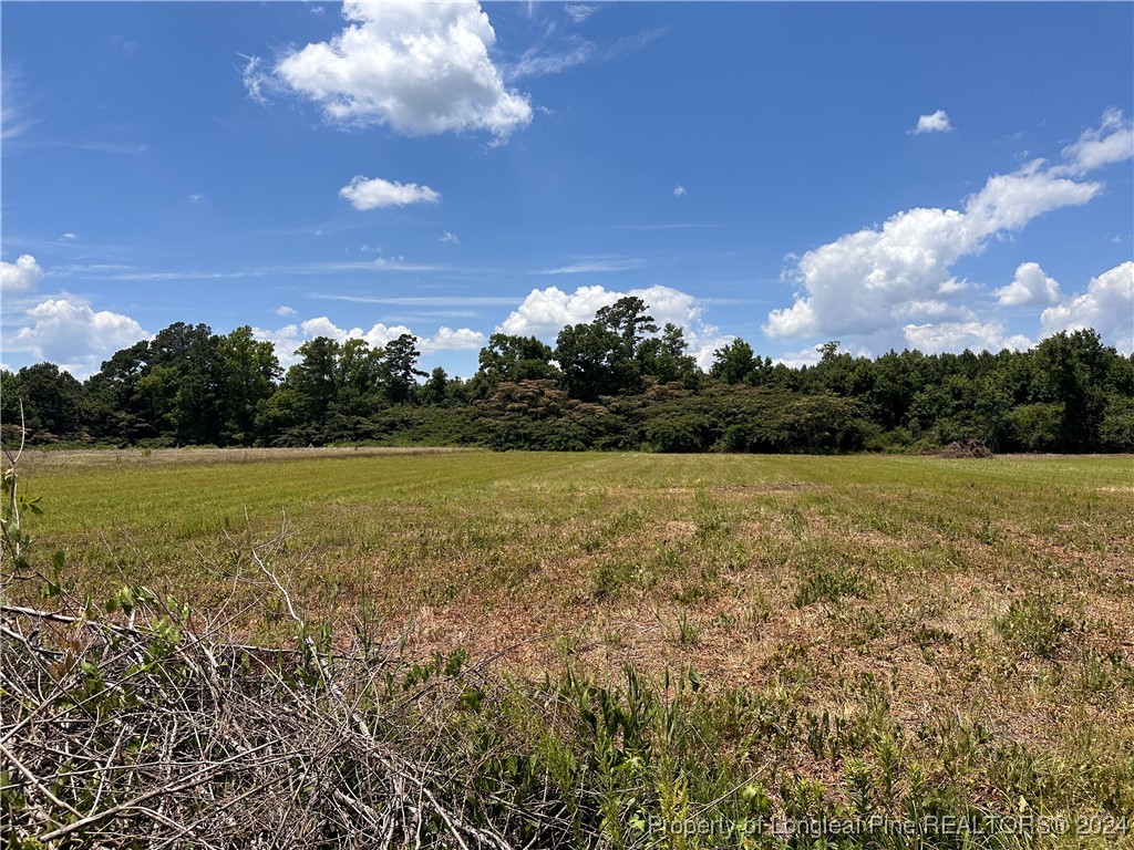 72 Philadelphus Road Pembroke, NC 28372 - Photo 11 of 13 Gallery Image 11