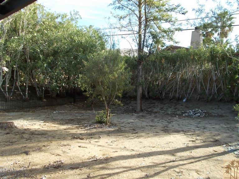 12478 Redbud Road Desert Hot Springs, CA 92240 - Photo 19 of 21 a view of a yard with a tree