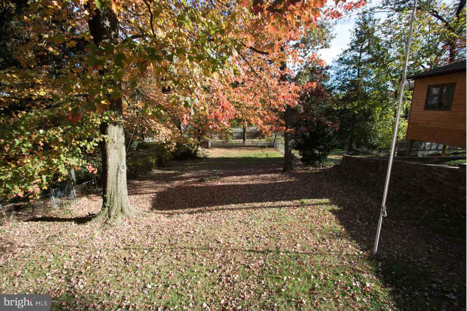 6303 Banbury Road Baltimore, MD 21239 - Photo 19 of 22 Back yard