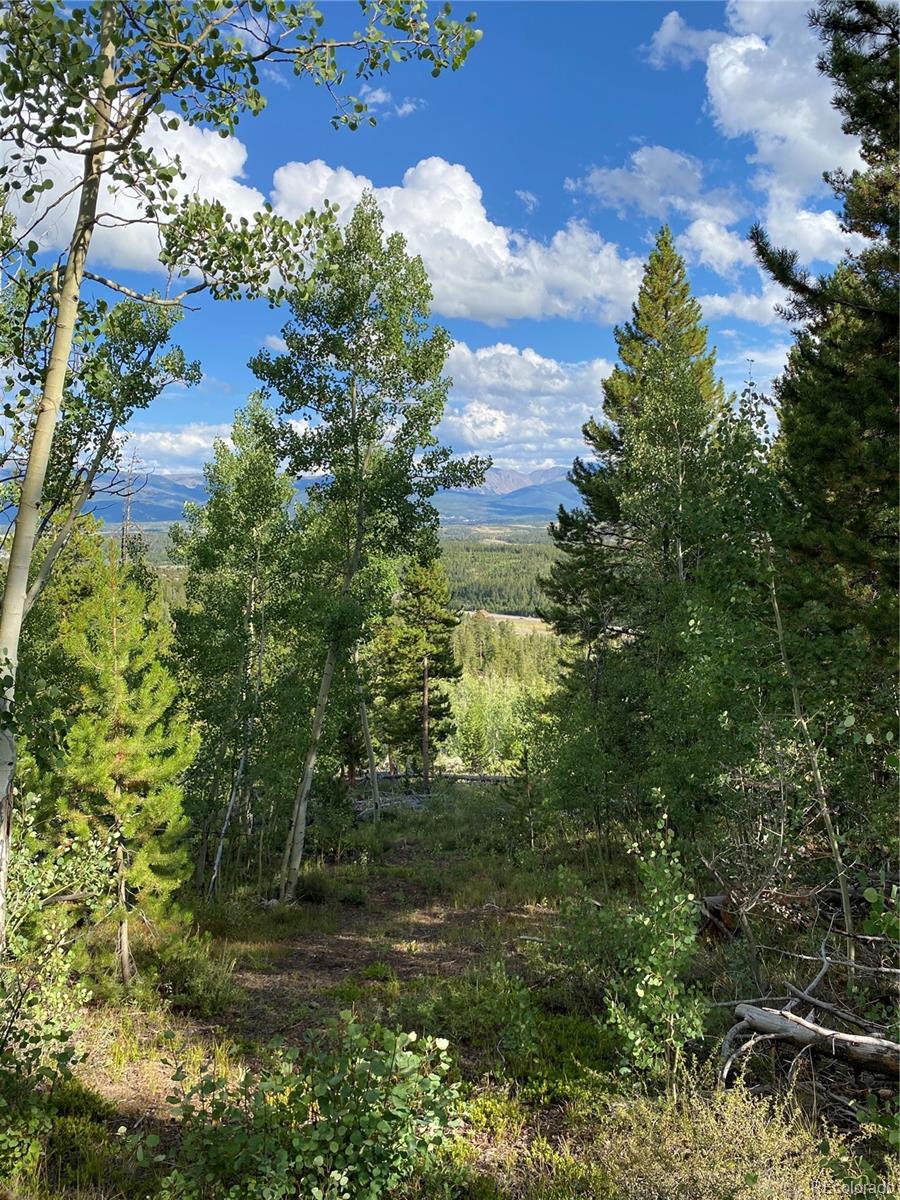 226 County Road 863 Tabernash, CO 80478 - Photo 3 of 11