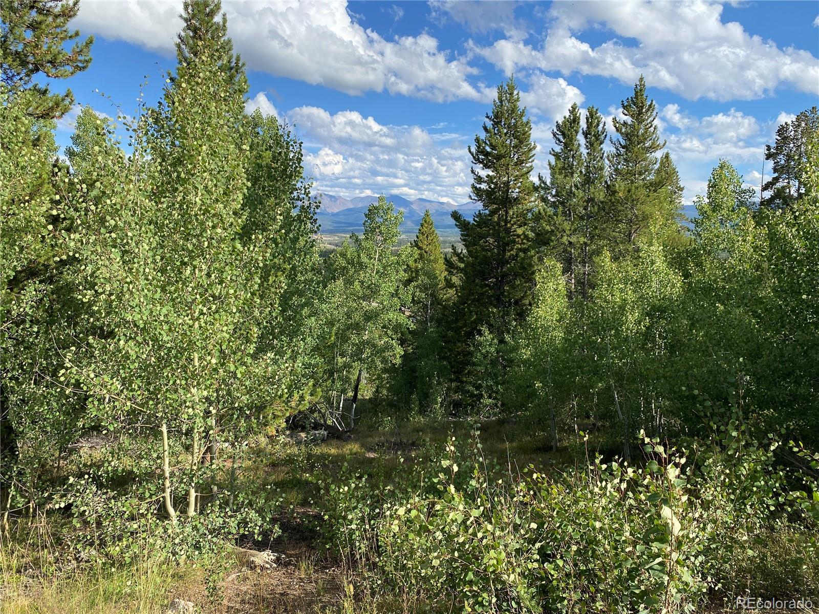 226 County Road 863 Tabernash, CO 80478 - Photo 4 of 11 a view of a garden