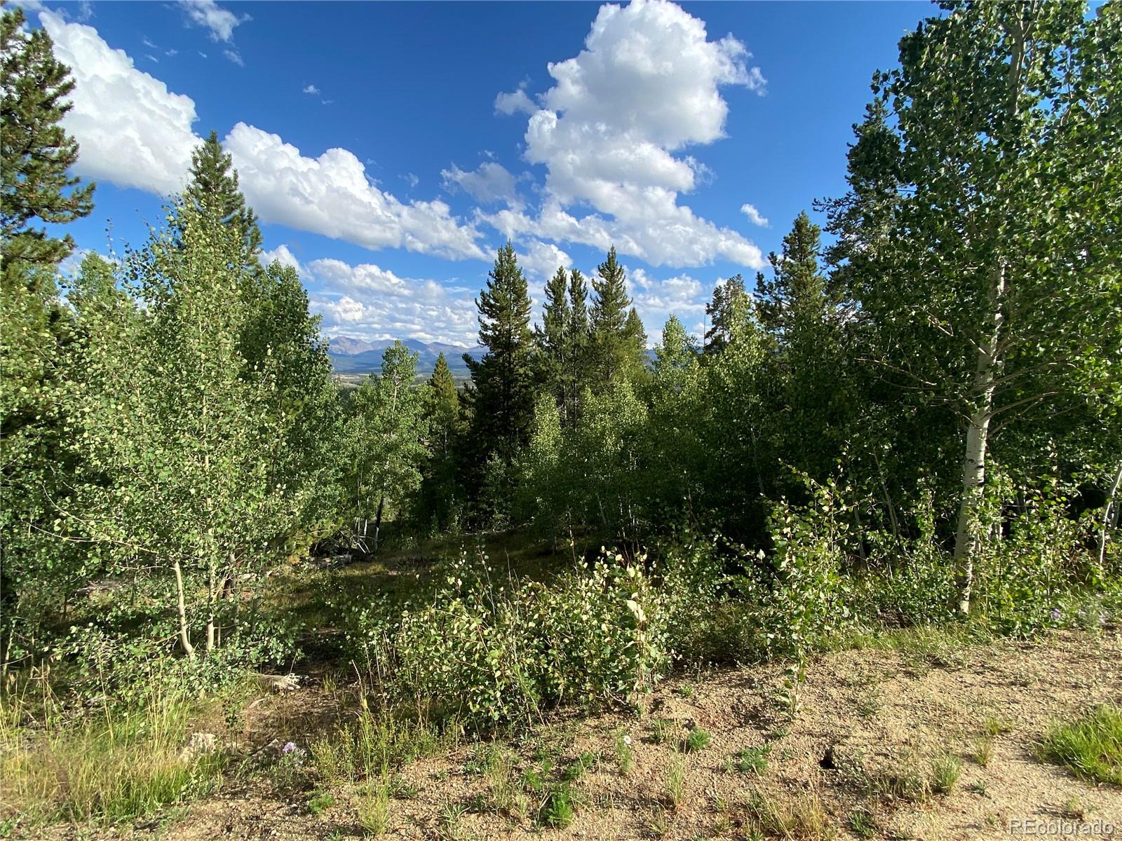 226 County Road 863 Tabernash, CO 80478 - Photo 7 of 11 a view of a garden