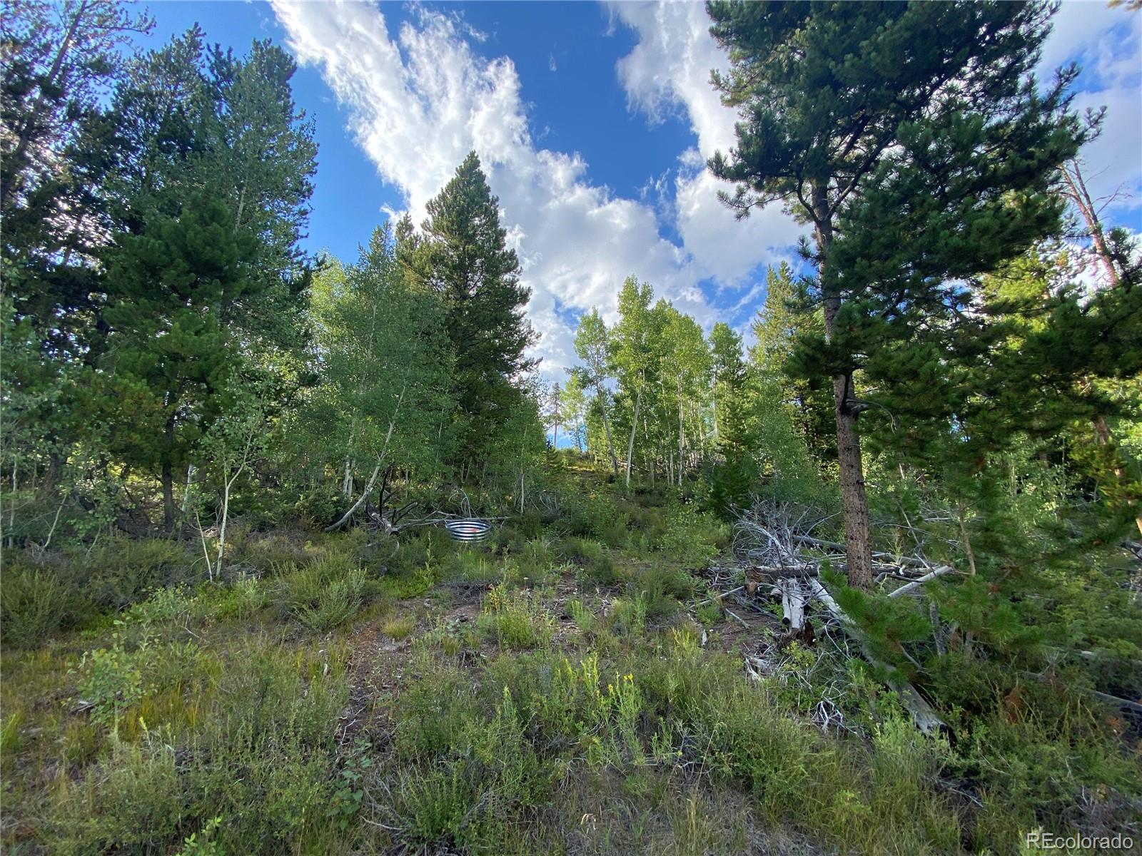 226 County Road 863 Tabernash, CO 80478 - Photo 9 of 11 a view of a forest with trees