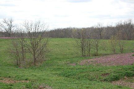 2139 Fishers Mill Road Midway, KY 40347 - Photo 4 of 9 Photo 4
