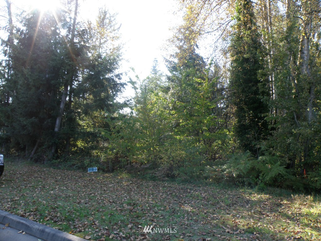 19829 116th Avenue Southeast Renton, WA 98055 - Photo 6 of 11 Gallery Image 6