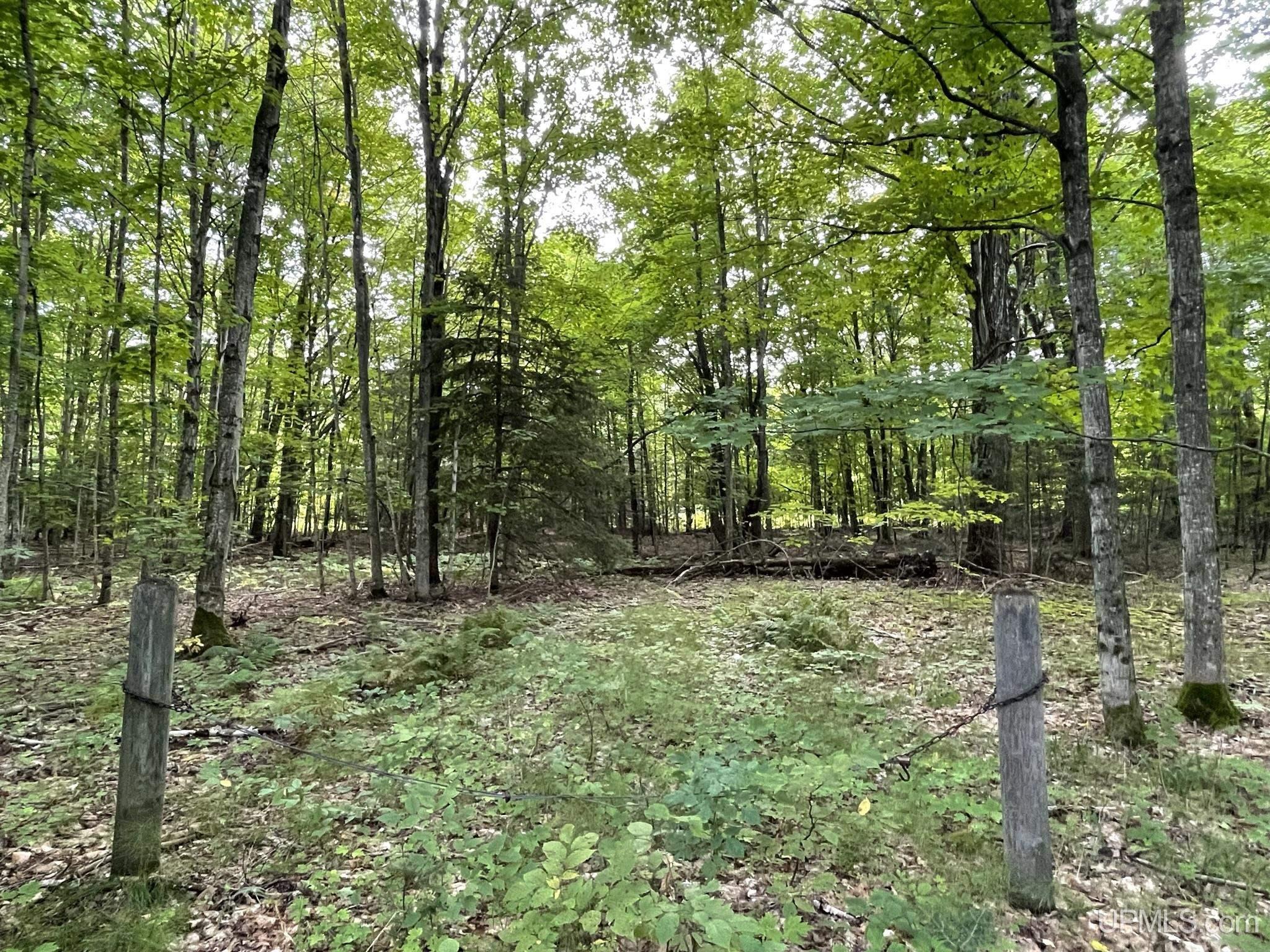 Tbd North Tbd N Powerline Road Germfask, MI 49836 - Photo 4 of 29