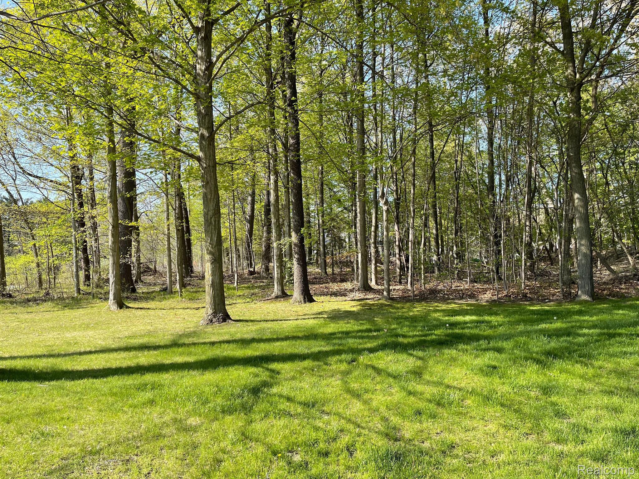 14435 Hogan Road Linden, MI 48451 - Photo 3 of 23 Gallery Image 3