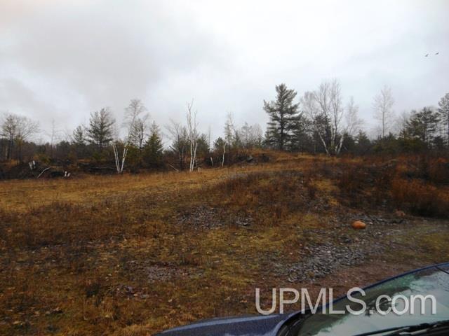 Brier Mountain Road Norway, MI 49870 - Photo 2 of 2