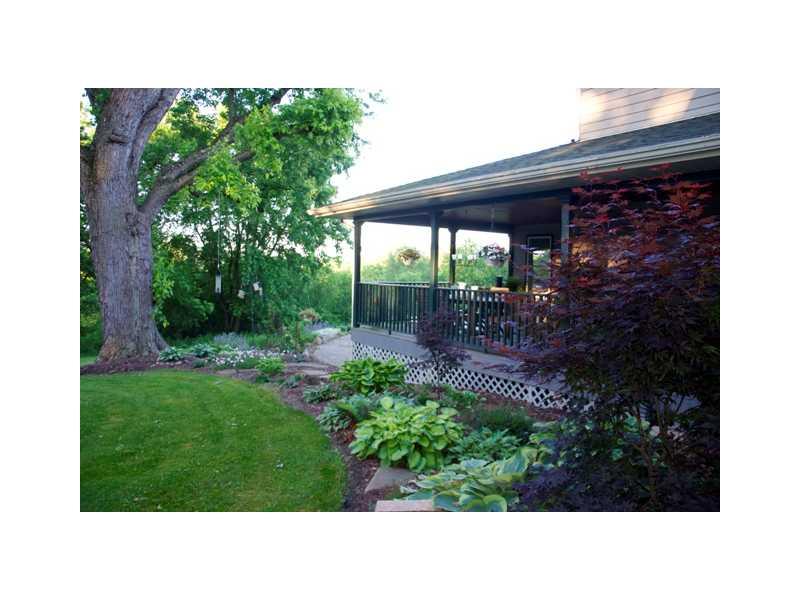 View. View of Side Yard From Porch
