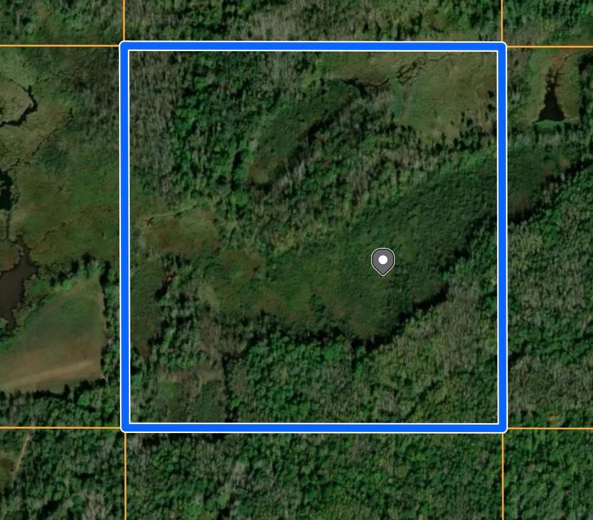 Tbd Old Grade Road Pine River, MN 56474 - Photo 6 of 15 Gallery Image 6