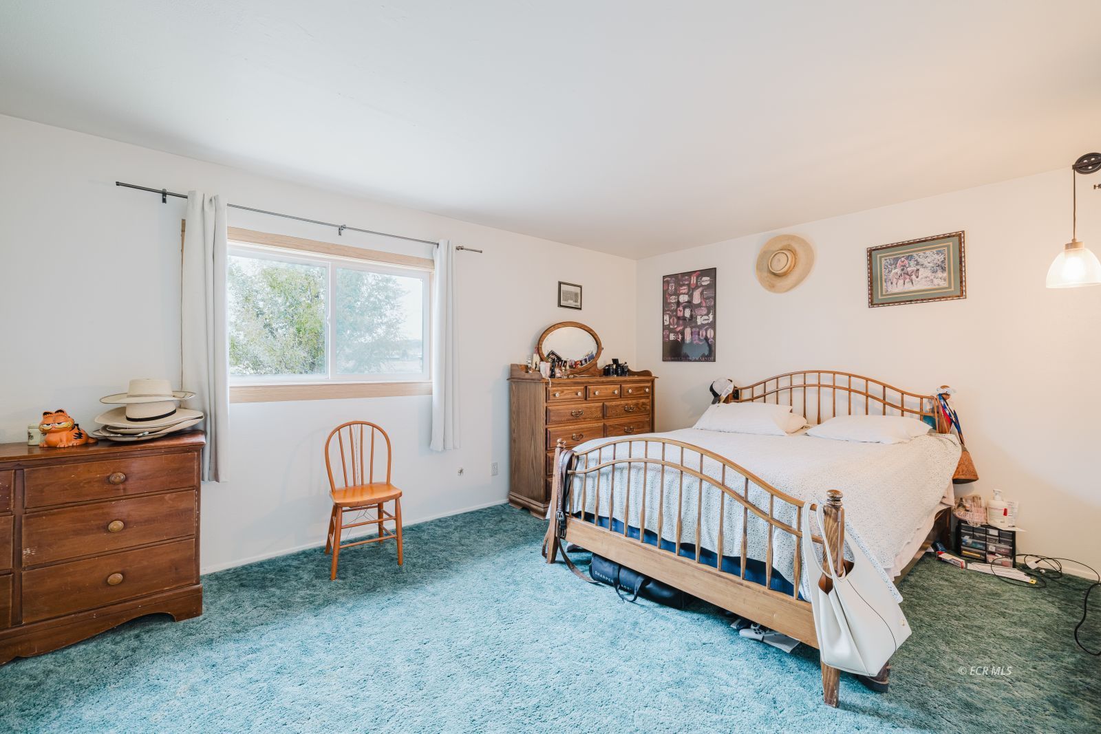 224 Hamilton Stage Road Spring Creek, NV 89815 - Photo 20 of 48