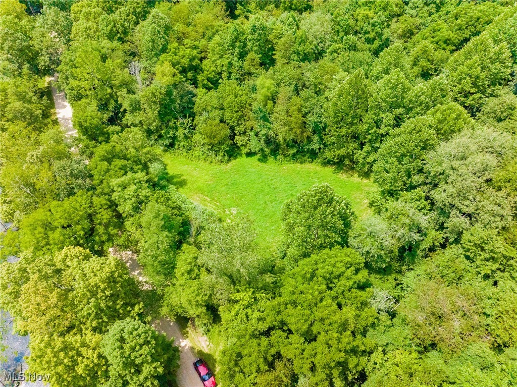 Prider Road Kimbolton, OH 43749 - Photo 9 of 48 Aerial view of a forest