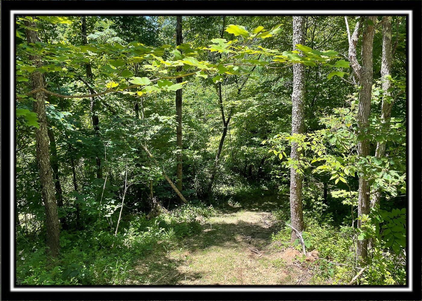0 Hoop Pole Road, Unit TRACT 13 Roseville, OH 43777 - Photo 27 of 62 CT-8