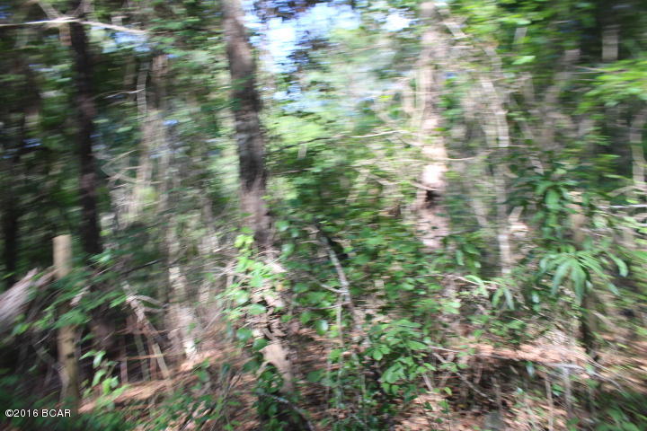 Xxx Wester Road Grand Ridge, FL 32442 - Photo 5 of 7 Gallery Image 5