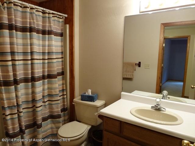 605 Ginseng Road New Castle, CO 81647 - Photo 25 of 29 bathdown