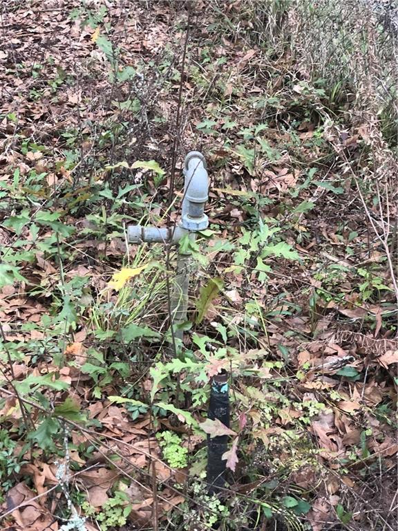 1066 Walnut Street Slidell, LA 70460 - Photo 3 of 4