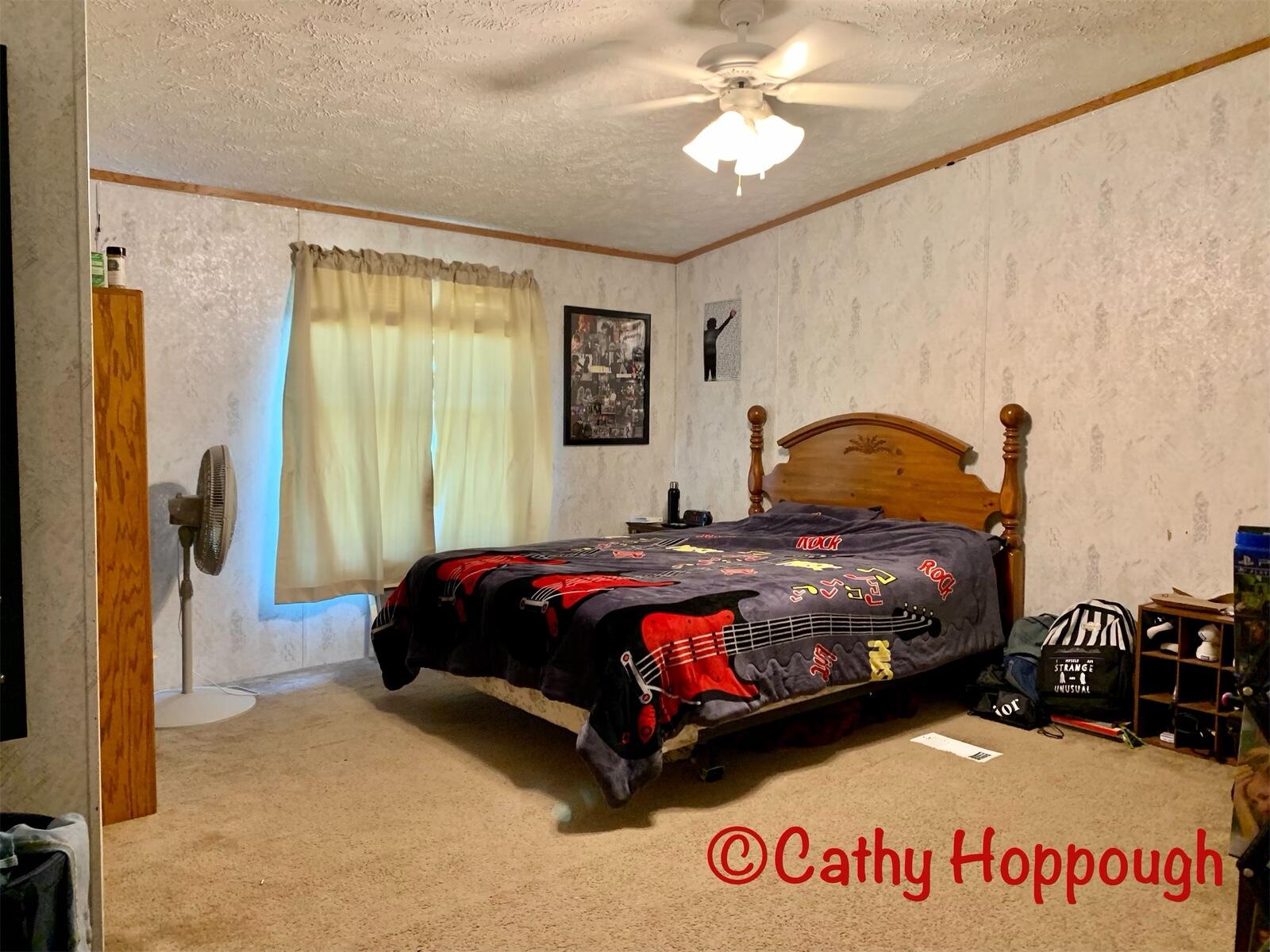 4820 Olmstead Road Ionia, MI 48846 - Photo 11 of 22 8360039C-3274-4789-9339-CFFA0A907D90