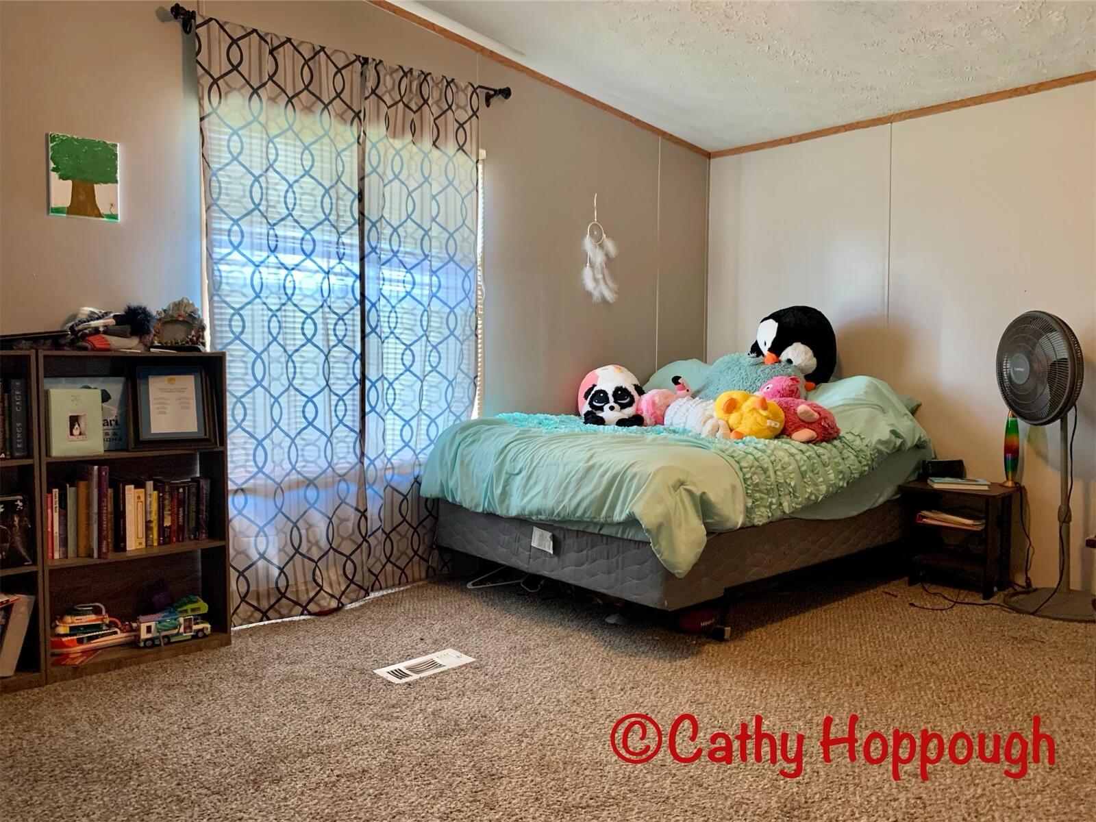 4820 Olmstead Road Ionia, MI 48846 - Photo 12 of 22 9B70A167-2E12-4898-823B-02E5D1FBFC06