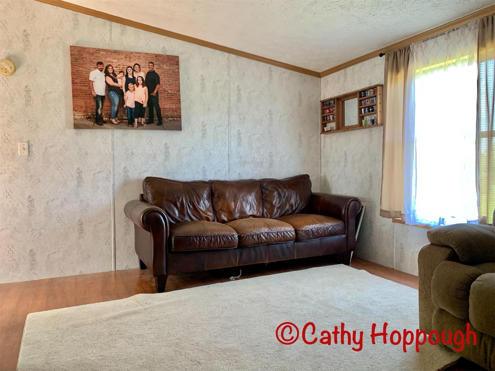 4820 Olmstead Road Ionia, MI 48846 - Photo 3 of 22 F472CE50-2800-4AB8-A1A4-7CDDAFFBCB07
